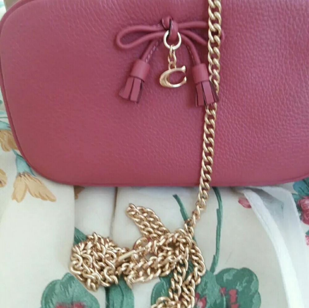 Coach Crossbody Pouch Strawberry and Gold